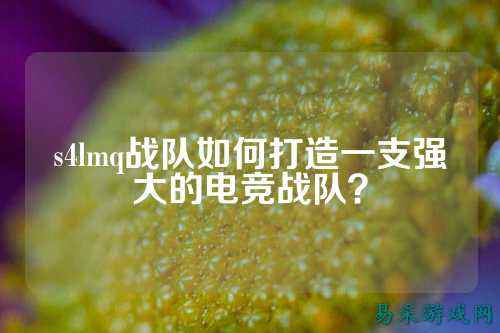 s4lmq战队如何打造一支强大的电竞战队？