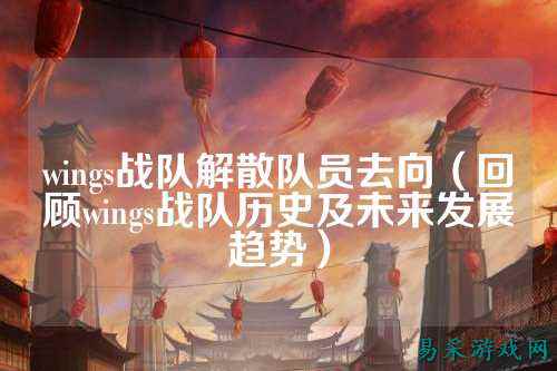 wings战队解散队员去向（回顾wings战队历史及未来发展趋势）