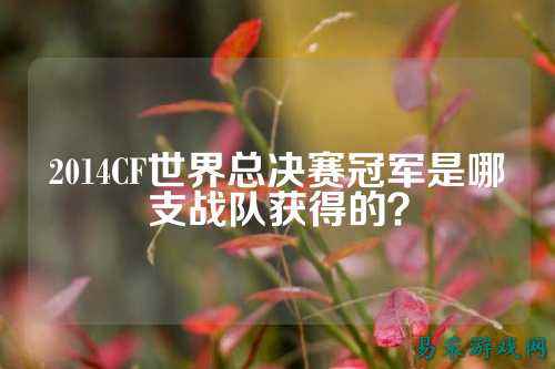 2014CF世界总决赛冠军是哪支战队获得的?