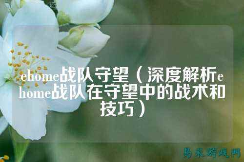 ehome战队守望（深度解析ehome战队在守望中的战术和技巧）