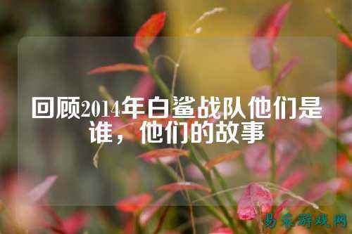 回顾2014年白鲨战队他们是谁，他们的故事