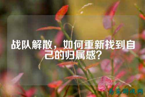 战队解散，如何重新找到自己的归属感？
