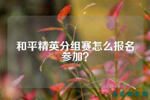 和平精英分组赛怎么报名参加？