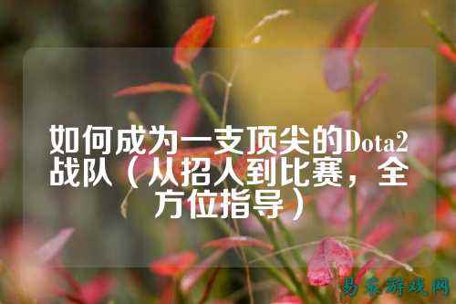 如何成为一支顶尖的Dota2战队（从招人到比赛，全方位指导）