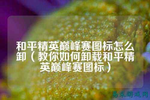 和平精英巅峰赛图标怎么卸(教你如何卸载和平精英巅峰赛图标)