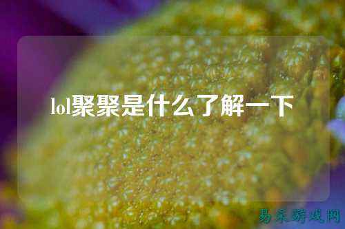 lol聚聚是什么了解一下