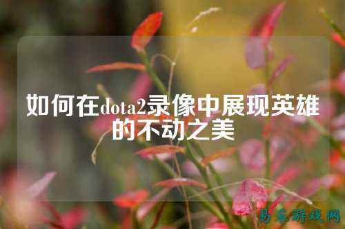 如何在dota2录像中展现英雄的不动之美