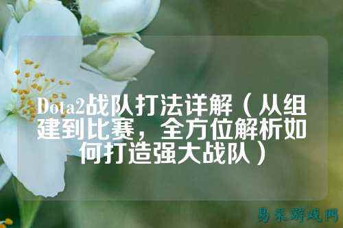 Dota2战队打法详解（从组建到比赛，全方位解析如何打造强大战队）