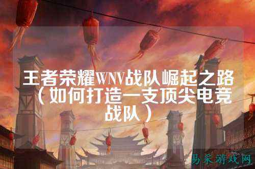 王者荣耀WNV战队崛起之路（如何打造一支顶尖电竞战队）