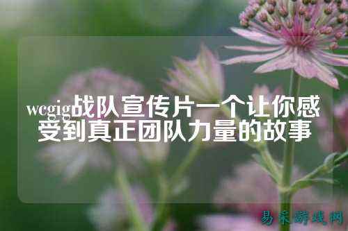 wcgig战队宣传片一个让你感受到真正团队力量的故事