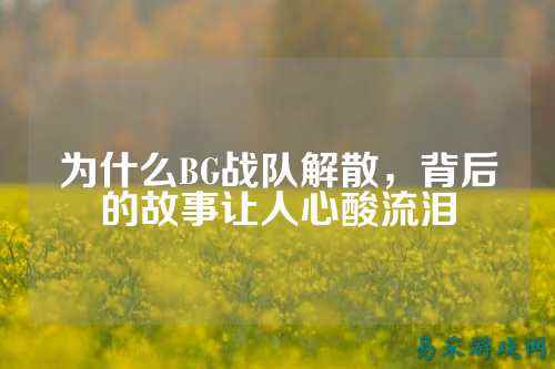 为什么BG战队解散，背后的故事让人心酸流泪