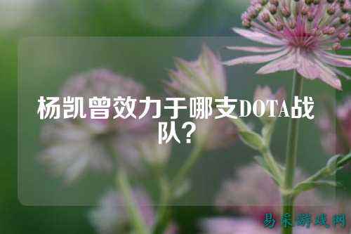 杨凯曾效力于哪支DOTA战队？