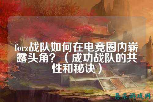 forz战队如何在电竞圈内崭露头角？（成功战队的共性和秘诀）