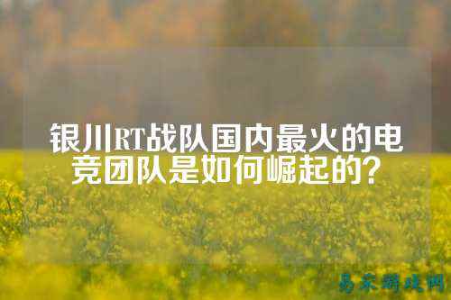 银川RT战队国内最火的电竞团队是如何崛起的？