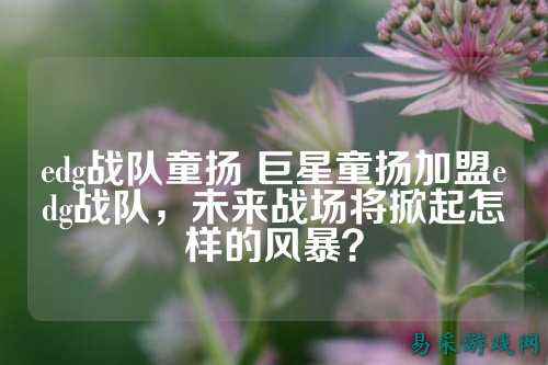 edg战队童扬 巨星童扬加盟edg战队,未来战场将掀起怎样的风暴?