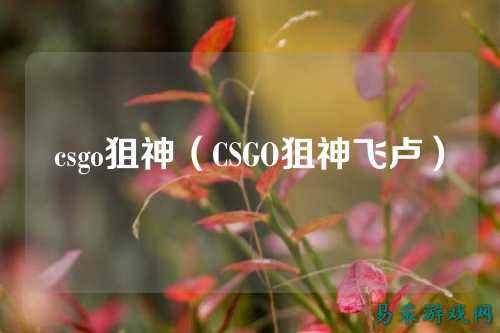 csgo狙神（CSGO狙神飞卢）