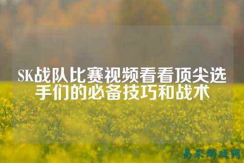 SK战队比赛视频看看顶尖选手们的必备技巧和战术