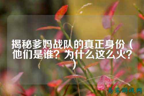 揭秘爹妈战队的真正身份(他们是谁?为什么这么火?)