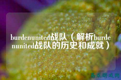 burdenunited战队(解析burdenunited战队的历史和成就)