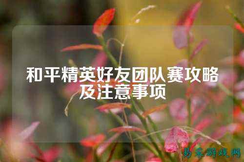 和平精英好友团队赛攻略及注意事项