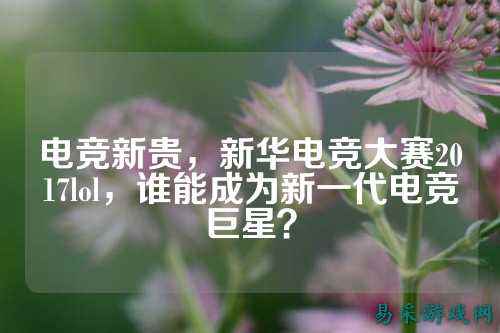 电竞新贵,新华电竞大赛2017lol,谁能成为新一代电竞巨星?