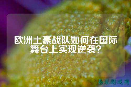 欧洲土豪战队如何在国际舞台上实现逆袭?