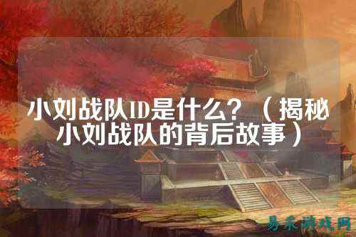 小刘战队ID是什么?(揭秘小刘战队的背后故事)