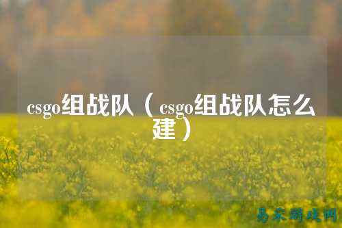 csgo组战队(csgo组战队怎么建)
