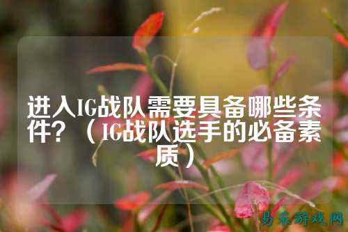 进入IG战队需要具备哪些条件?(IG战队选手的必备素质)