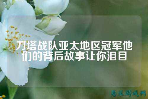 刀塔战队亚太地区冠军他们的背后故事让你泪目