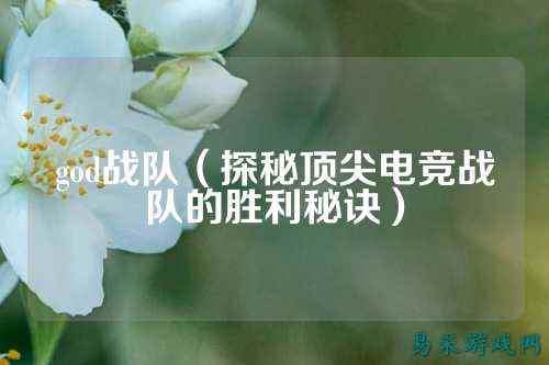 god战队(探秘顶尖电竞战队的胜利秘诀)