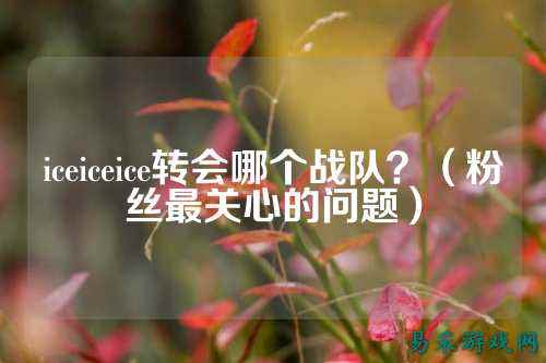 iceiceice转会哪个战队?(粉丝最关心的问题)