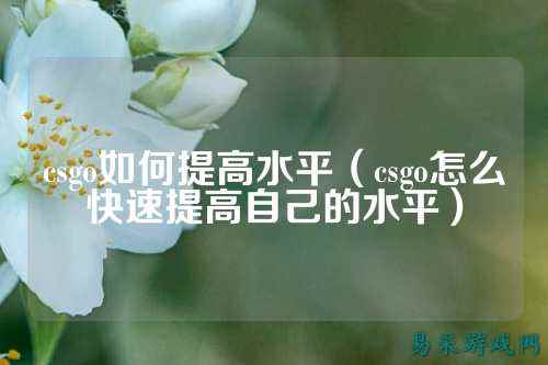 csgo如何提高水平(csgo怎么快速提高自己的水平)