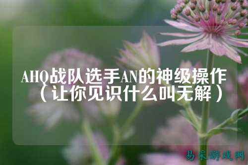 AHQ战队选手AN的神级操作（让你见识什么叫无解）