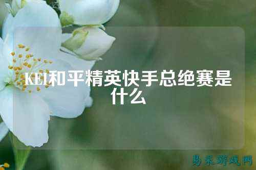 KEI和平精英快手总绝赛是什么