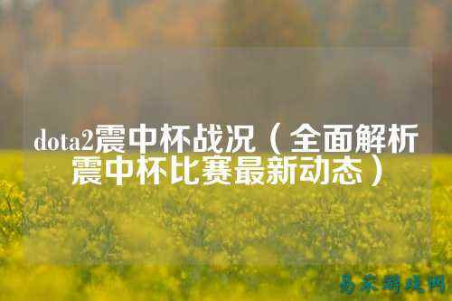 dota2震中杯战况(全面解析震中杯比赛最新动态)