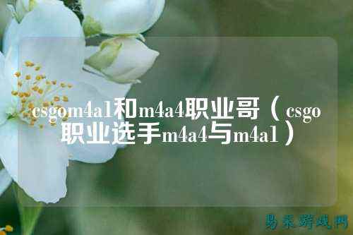 csgom4a1和m4a4职业哥(csgo职业选手m4a4与m4a1)