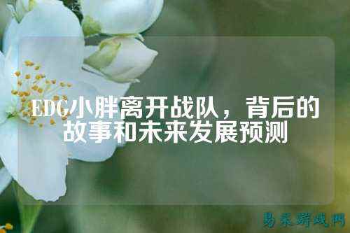 EDG小胖离开战队,背后的故事和未来发展预测
