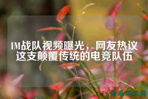 IM战队视频曝光,网友热议这支颠覆传统的电竞队伍