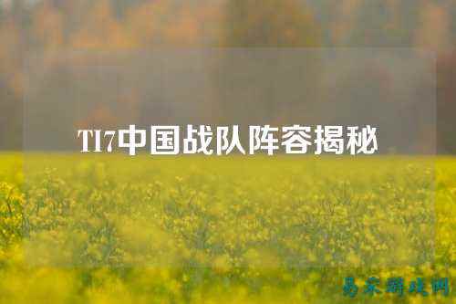TI7中国战队阵容揭秘