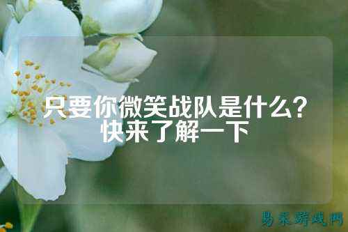 只要你微笑战队是什么?快来了解一下