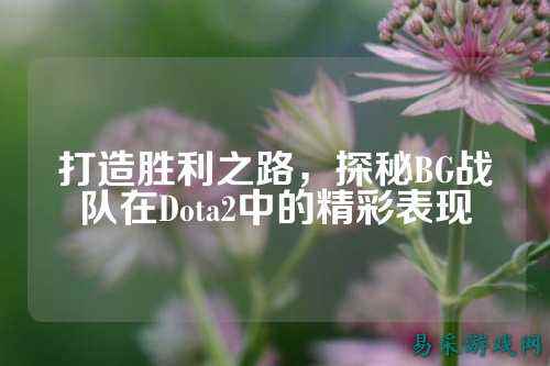 打造胜利之路,探秘BG战队在Dota2中的精彩表现