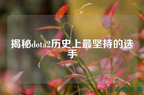 揭秘dota2历史上最坚持的选手