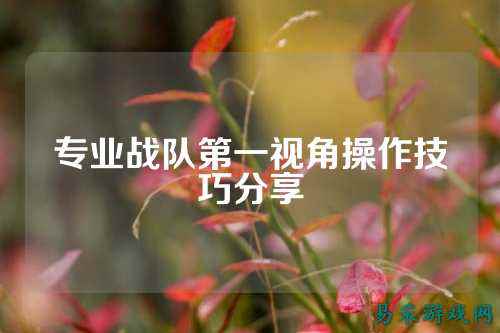 专业战队第一视角操作技巧分享