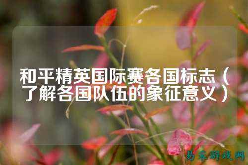 和平精英国际赛各国标志（了解各国队伍的象征意义）