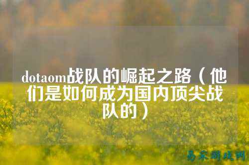 dotaom战队的崛起之路（他们是如何成为国内顶尖战队的）