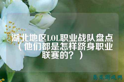 湖北地区LOL职业战队盘点（他们都是怎样跻身职业联赛的？）