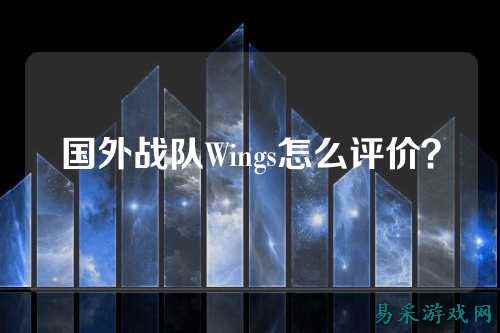 国外战队Wings怎么评价？