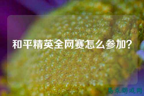和平精英全网赛怎么参加?