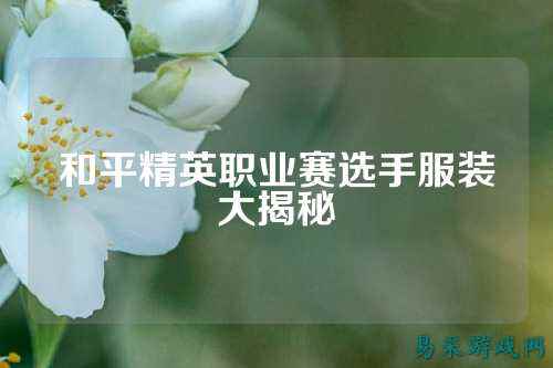 和平精英职业赛选手服装大揭秘